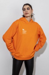 Εικόνα της Φούτερ με κουκούλα unisex oversized