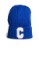 Picture of Logo beanie