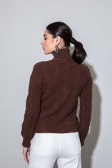 Picture of Turtleneck knitted blouse