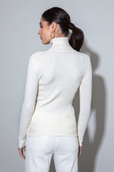 Picture of Ribbed turtleneck