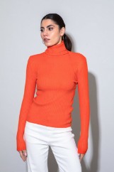 Picture of Ribbed turtleneck