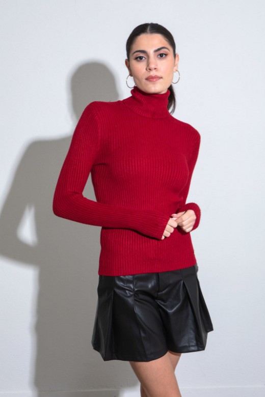 Picture of Ribbed turtleneck