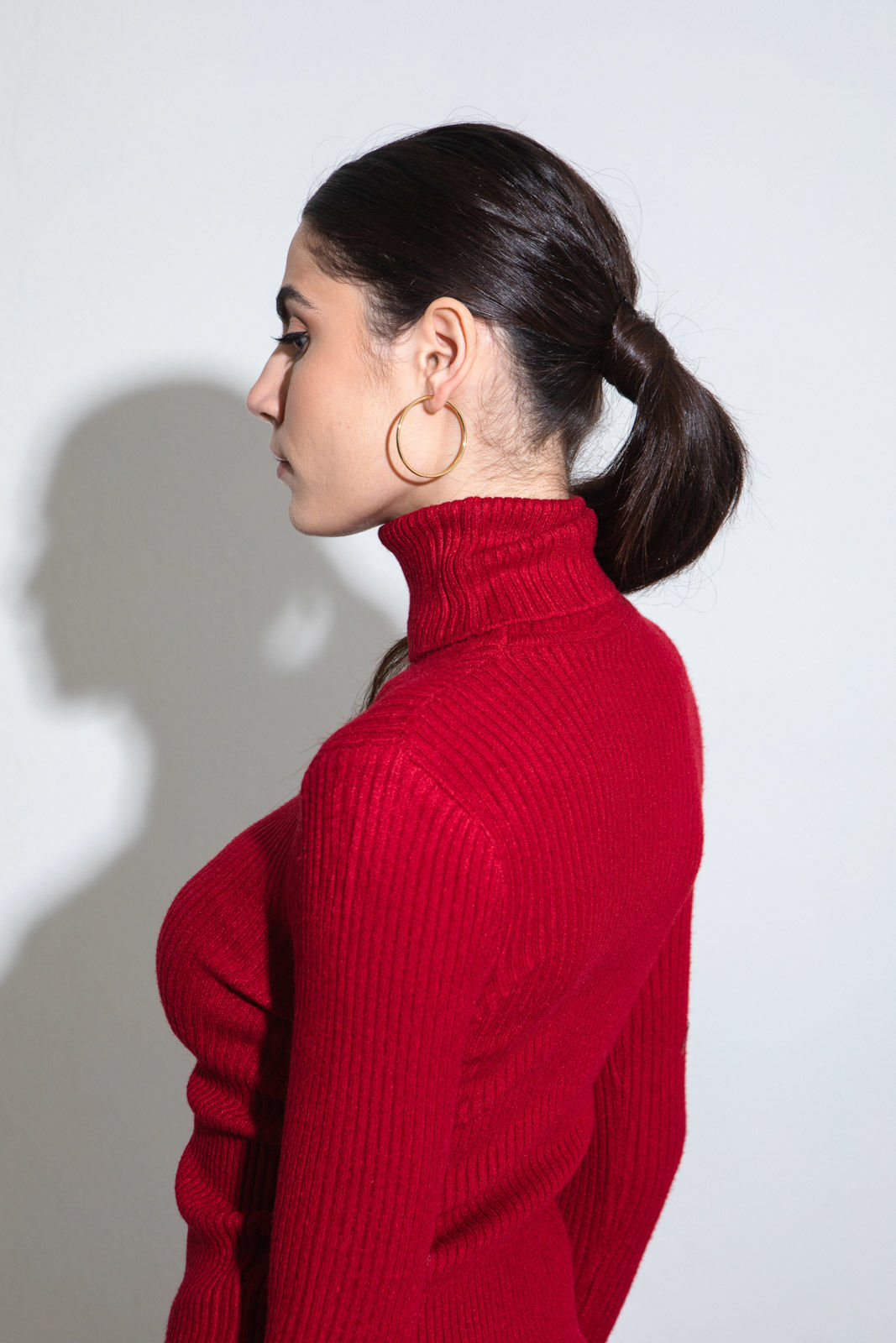 Picture of Ribbed turtleneck