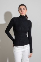 Picture of Ribbed turtleneck