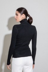 Picture of Ribbed turtleneck