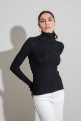 Picture of Ribbed turtleneck