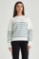 Picture of Thick knit stripped sweater