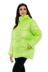 Picture of Quilted Puffer Jacket with Hood