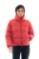 Picture of B Women's short jacket with a high collar