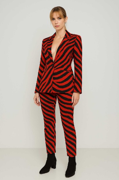 Picture of Slim zebra print Stretch jacket