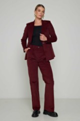 Εικόνα της Σακάκι slim velvet