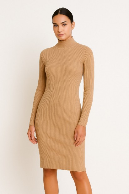 Picture of Ribbed Knitted Mock-Neck Dress