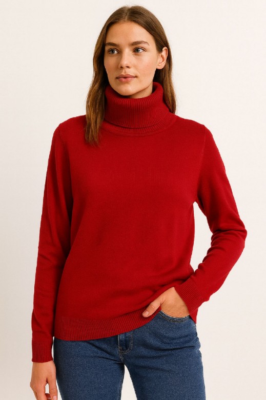 Picture of Knitted Turtleneck Sweater with Ribbed Finish