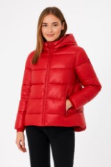 Picture of Short Quilted Puffer Jacket with Hood