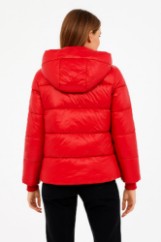 Picture of Short Quilted Puffer Jacket with Hood