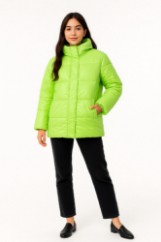 Picture of Quilted Puffer Jacket with Hood