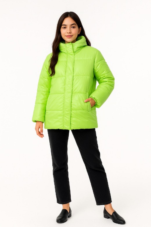 Picture of Quilted Puffer Jacket with Hood